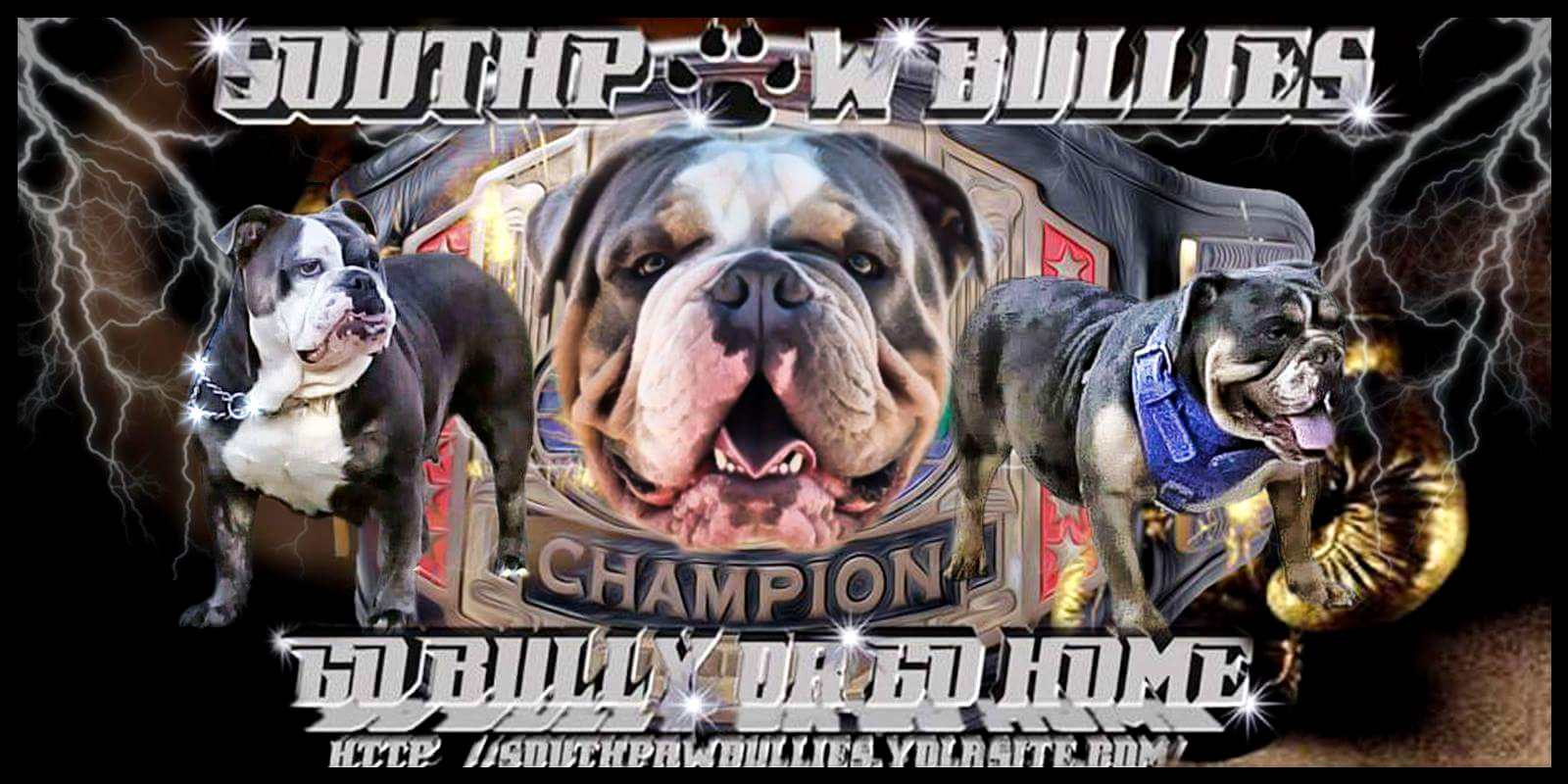 SouthPaw Bullies; Home of the Italian & Olde English Bulldogge